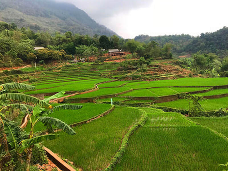 I photographed these gorgeous rice terraces in Mai Chau in April, about the same time we’ll be visiting if you sign up for the optional tour extension.