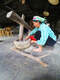carousel chooser